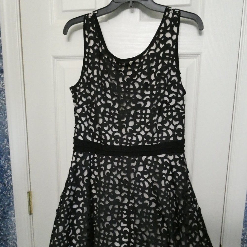 Xscape Black and Tan Lace Dress